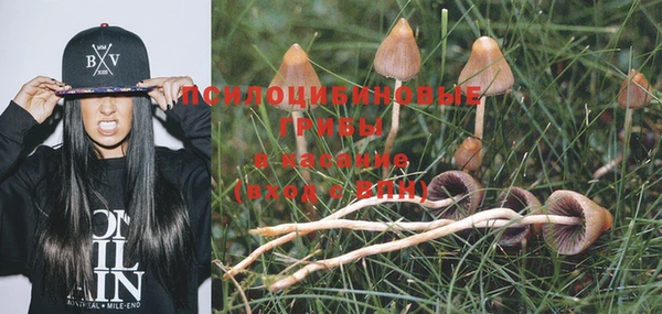 тгк Верхний Тагил
