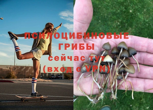 тгк Верхний Тагил