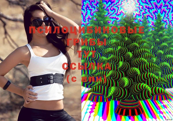 таблы Верея