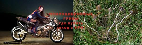 мяу мяу мука Верхнеуральск
